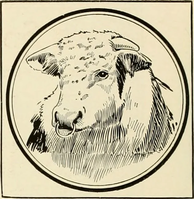 An illustration from Book of plans / Chicago House Wrecking Co., 1913, leaf 81
