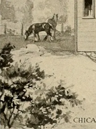 An illustration from Book of plans / Chicago House Wrecking Co., 1913, leaf 84