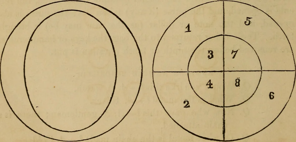 An illustration from Book of riddles and five hundred home amusements : containing a choice and curious collection of riddles, charades, enigmas, rebuses, anagrams, transpositions, conundrums, amusing puzzles, queer sleights, recreations in arithmetic, fireside games, and natural magic, embracing entertaining amusements in magnetism, chemistry, second sight, and simple recreations in science for family and social pastime, 1863, leaf 101