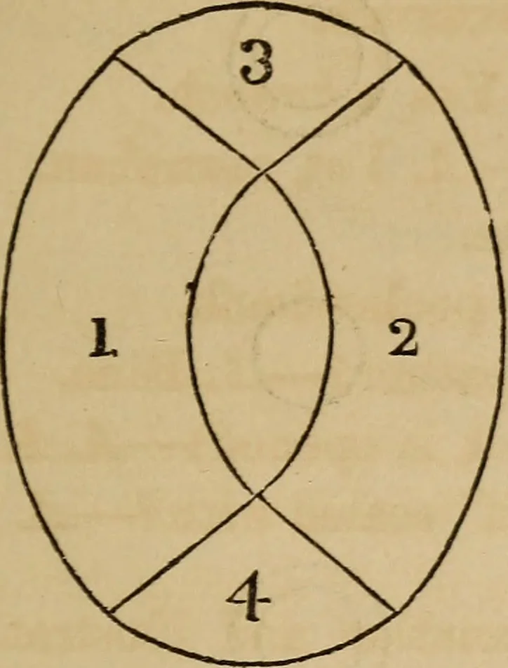 An illustration from Book of riddles and five hundred home amusements : containing a choice and curious collection of riddles, charades, enigmas, rebuses, anagrams, transpositions, conundrums, amusing puzzles, queer sleights, recreations in arithmetic, fireside games, and natural magic, embracing entertaining amusements in magnetism, chemistry, second sight, and simple recreations in science for family and social pastime, 1863, leaf 102
