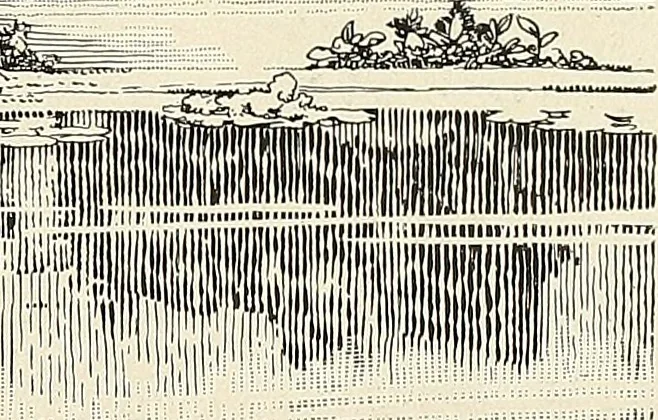 An illustration from A book of samples of papers manufactured to print properly all kinds of illustrations; together with a book of the same papers printed and lithographed in all of the principal processes used for illustration, 1922, leaf 344