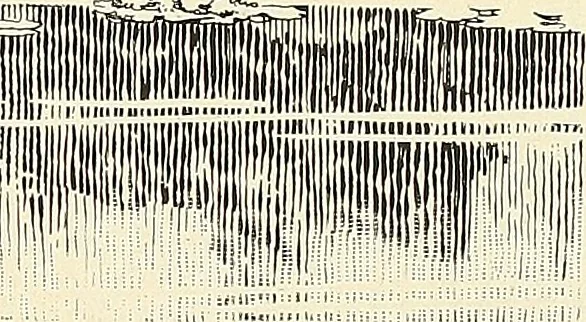 An illustration from A book of samples of papers manufactured to print properly all kinds of illustrations; together with a book of the same papers printed and lithographed in all of the principal processes used for illustration, 1922, leaf 392