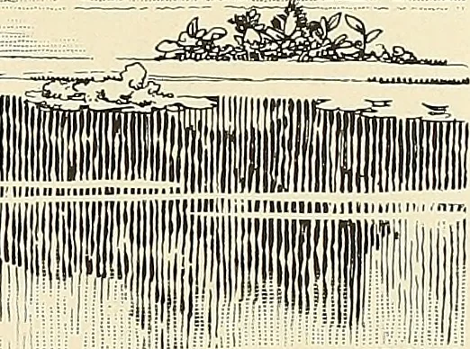 An illustration from A book of samples of papers manufactured to print properly all kinds of illustrations; together with a book of the same papers printed and lithographed in all of the principal processes used for illustration, 1922, leaf 424