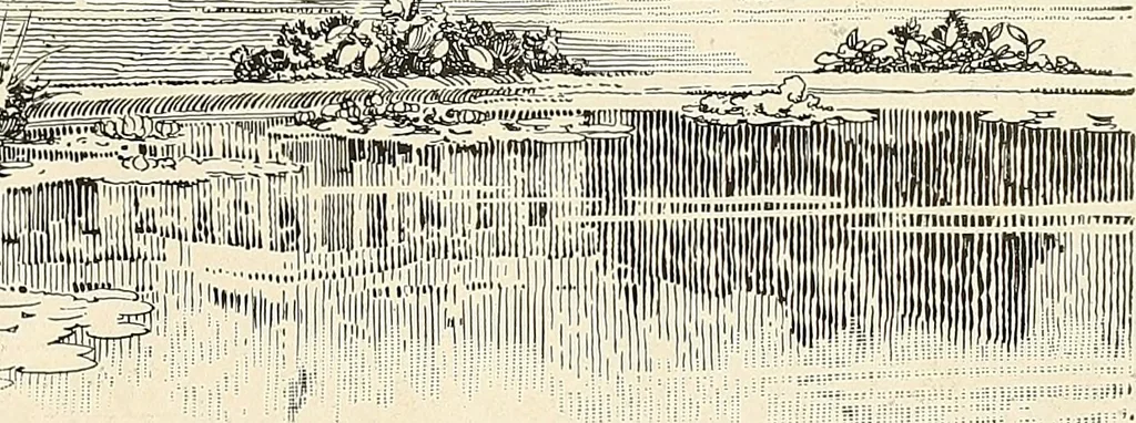 An illustration from A book of samples of papers manufactured to print properly all kinds of illustrations; together with a book of the same papers printed and lithographed in all of the principal processes used for illustration, 1922, leaf 448