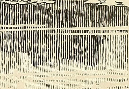 An illustration from A book of samples of papers manufactured to print properly all kinds of illustrations; together with a book of the same papers printed and lithographed in all of the principal processes used for illustration, 1922, leaf 496