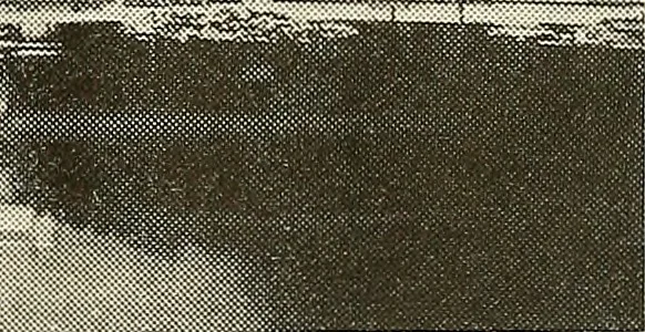 An illustration from A book of samples of papers manufactured to print properly all kinds of illustrations; together with a book of the same papers printed and lithographed in all of the principal processes used for illustration, 1922, leaf 586