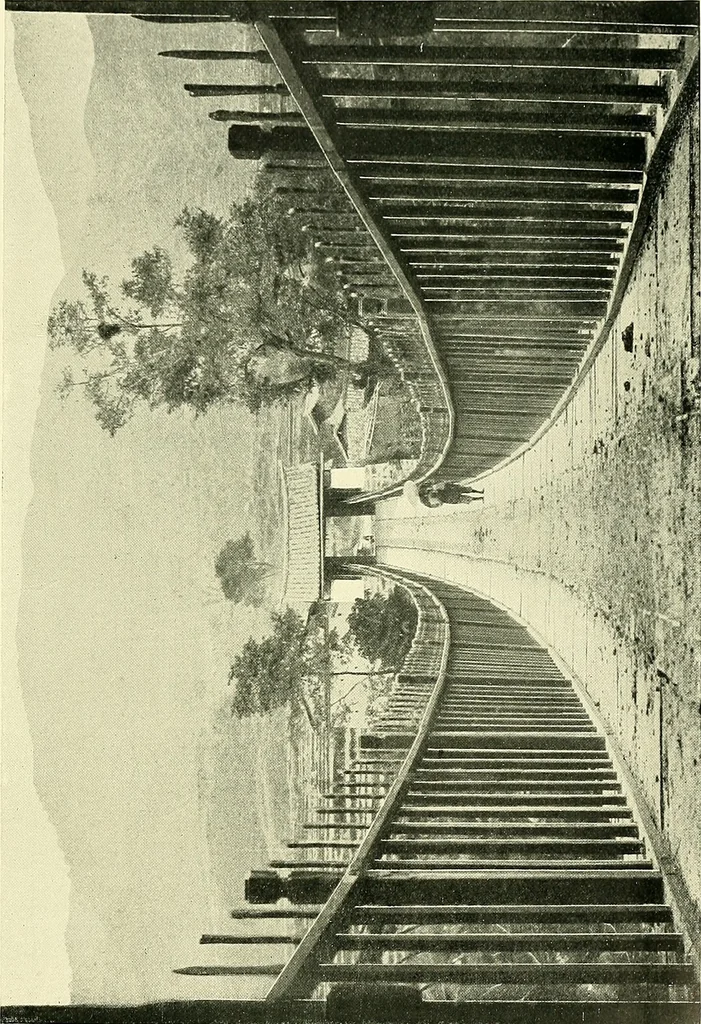 An illustration from The book of Ser Marco Polo, the Venetian, concerning the kingdoms and marvels of the East;, 1903, leaf 122