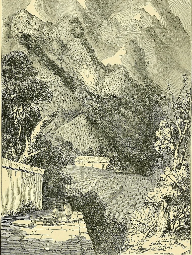 An illustration from The book of Ser Marco Polo, the Venetian, concerning the kingdoms and marvels of the East;, 1903, leaf 282