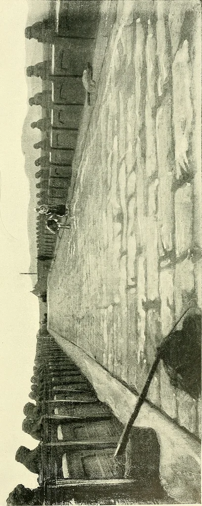 An illustration from The book of Ser Marco Polo, the Venetian, concerning the kingdoms and marvels of the East;, 1903, leaf 44