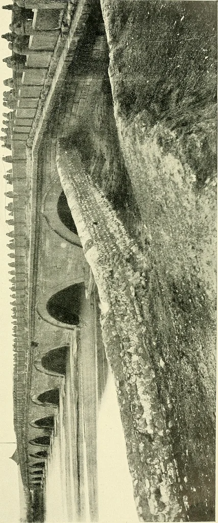 An illustration from The book of Ser Marco Polo, the Venetian, concerning the kingdoms and marvels of the East;, 1903, leaf 46