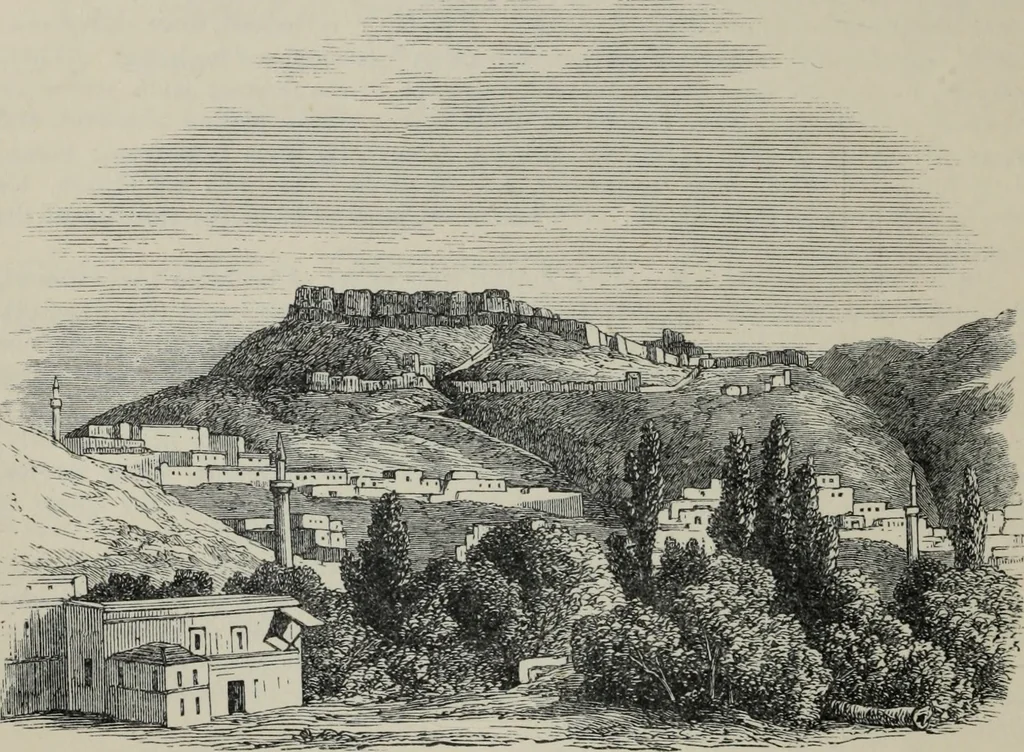 An illustration from The book of Ser Marco Polo : the Venetian concerning the kingdoms and marvels of the East, 1903, leaf 351