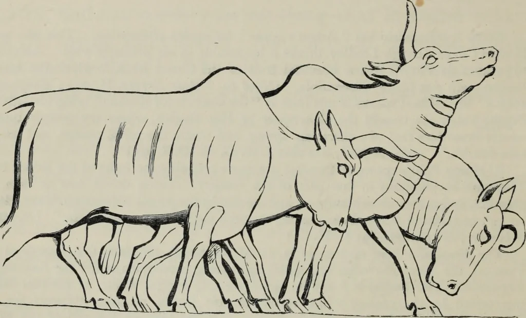 An illustration from The book of Ser Marco Polo : the Venetian concerning the kingdoms and marvels of the East, 1903, leaf 403