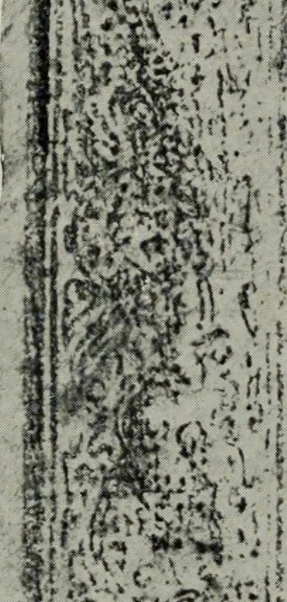 An illustration from The book of Ser Marco Polo : the Venetian concerning the kingdoms and marvels of the East, 1903, leaf 749