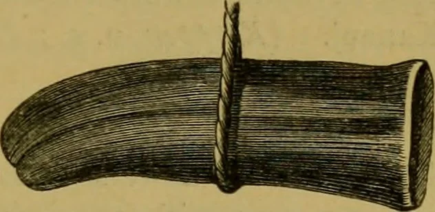 An illustration from The book of Ser Marco Polo, the Venetian : concerning the kingdoms and marvels of the East, 1871, leaf 302