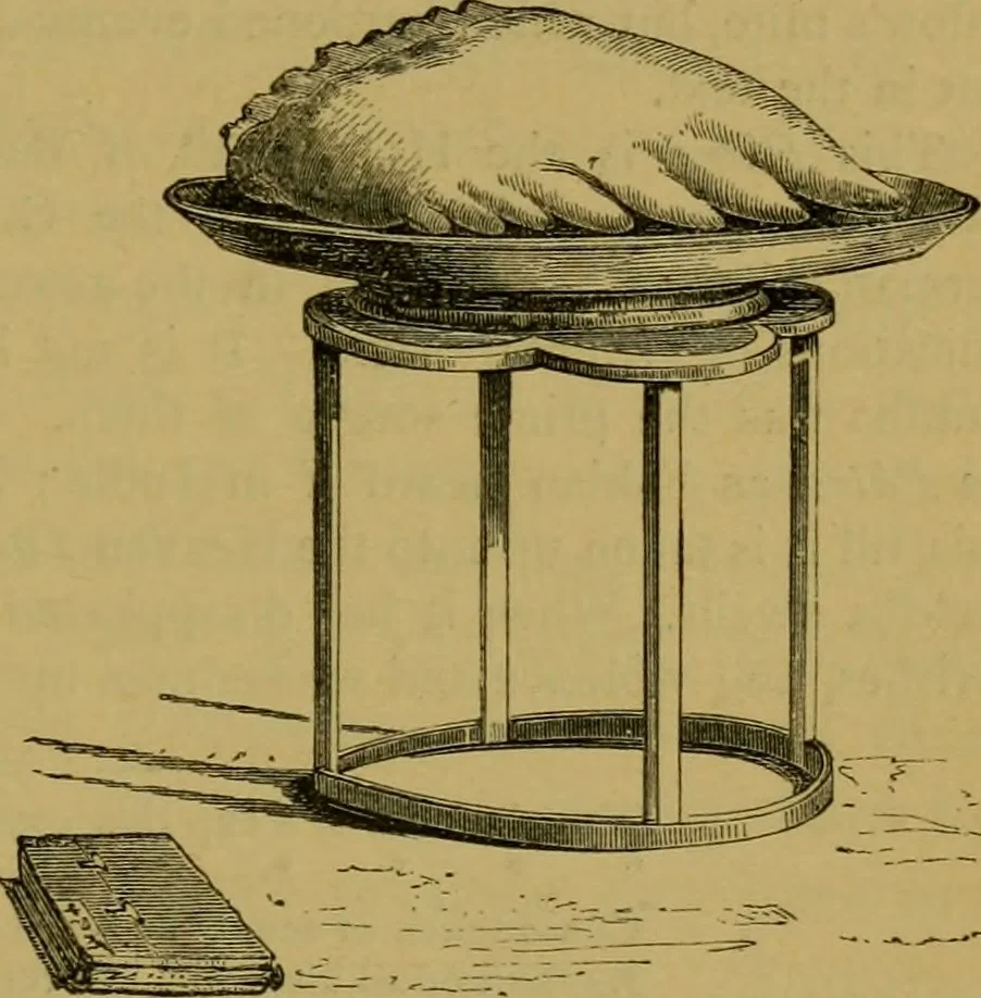 An illustration from The book of Ser Marco Polo, the Venetian : concerning the kingdoms and marvels of the East, 1871, leaf 302