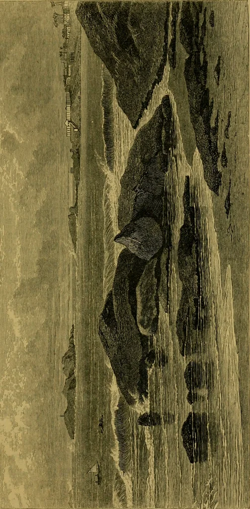 An illustration from The book of Ser Marco Polo, the Venetian : concerning the kingdoms and marvels of the East, 1871, leaf 356