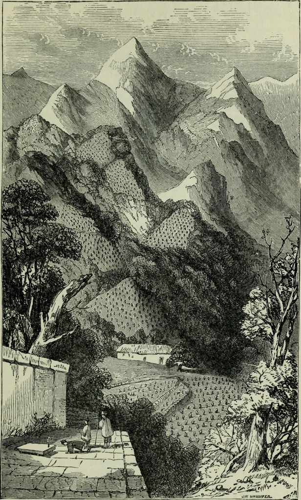An illustration from The book of Ser Marco Polo : the Venetian concerning the kingdoms and marvels of the East, 1903, leaf 283