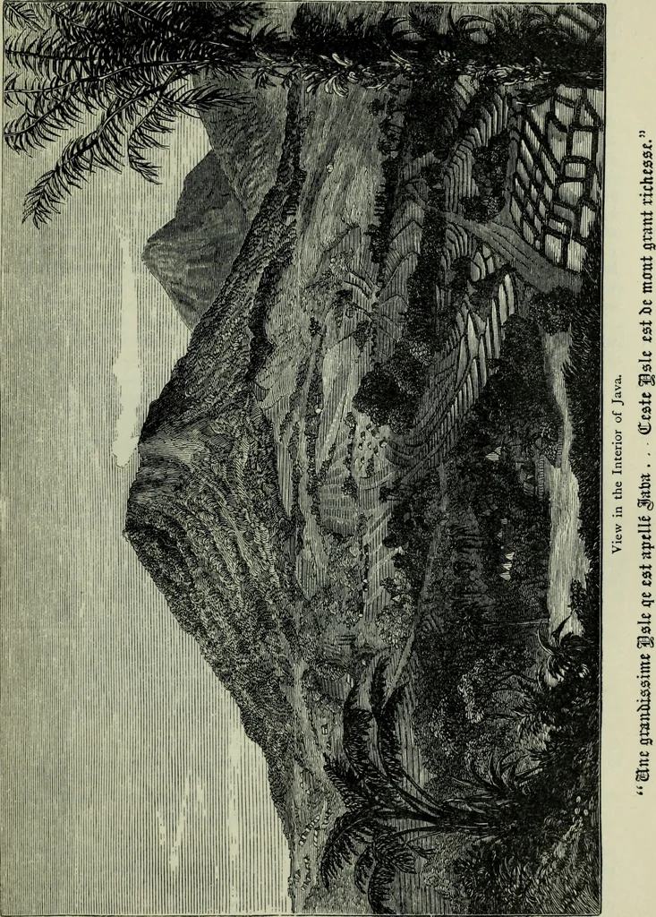 An illustration from The book of Ser Marco Polo : the Venetian concerning the kingdoms and marvels of the East, 1903, leaf 333