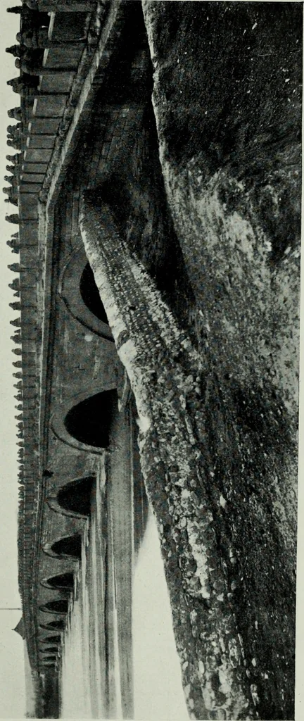 An illustration from The book of Ser Marco Polo : the Venetian concerning the kingdoms and marvels of the East, 1903, leaf 44