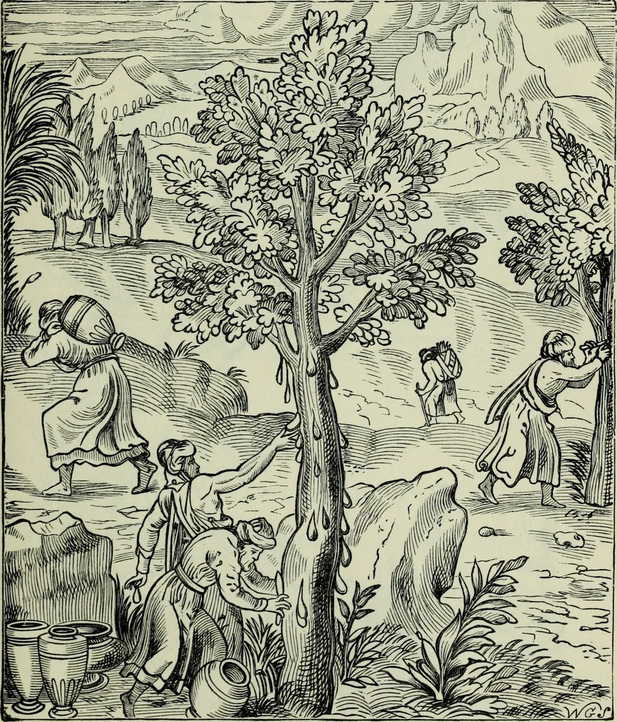 An illustration from The book of Ser Marco Polo : the Venetian concerning the kingdoms and marvels of the East, 1903, leaf 514