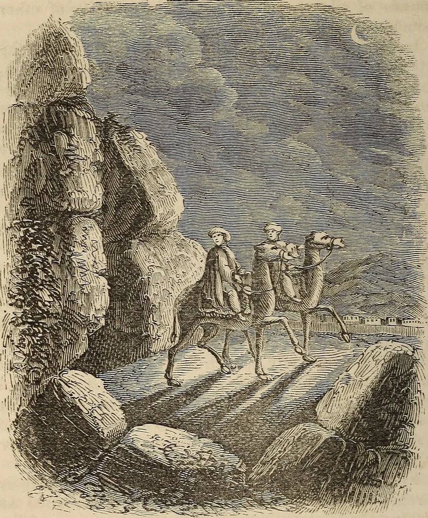 An illustration from The book of similitudes:, 1860, leaf 455