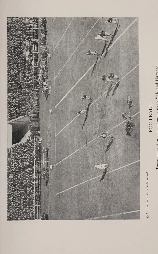 An illustration from The book of sports and games,, 1923, leaf 265
