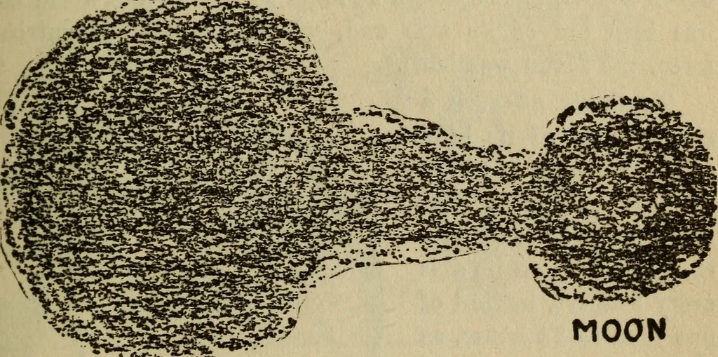 An illustration from The book of stars, 1920, leaf 110