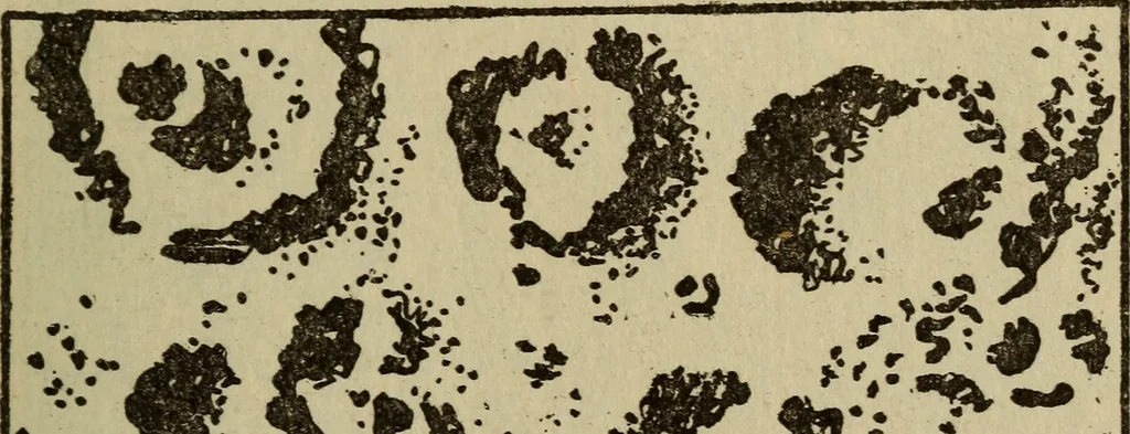 An illustration from The book of stars, 1920, leaf 112