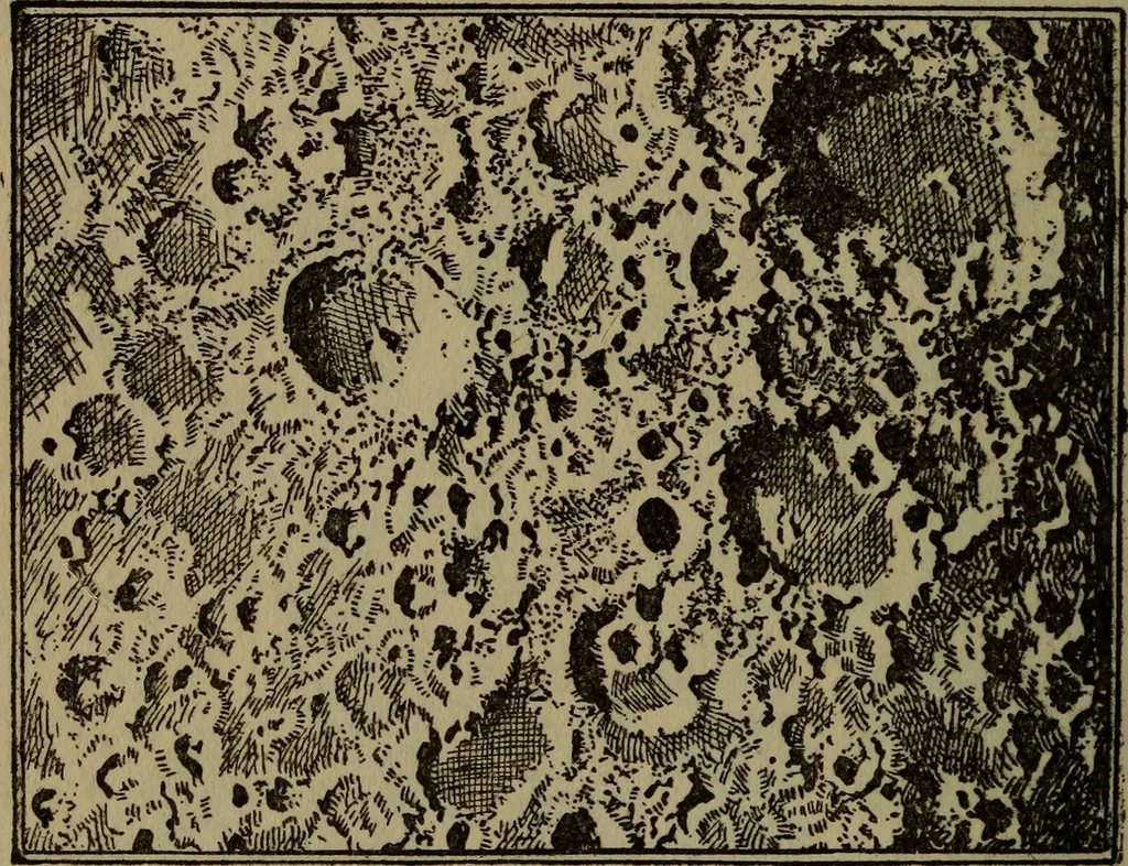 An illustration from The book of stars, 1920, leaf 113