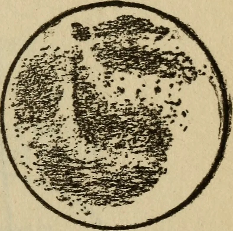 An illustration from The book of stars, 1920, leaf 114
