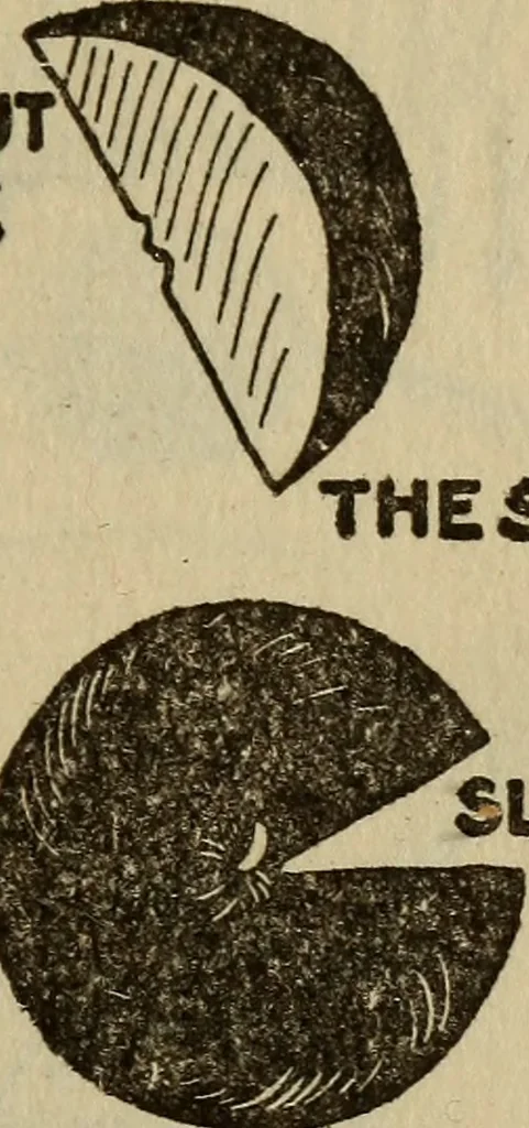 An illustration from The book of stars, 1920, leaf 116