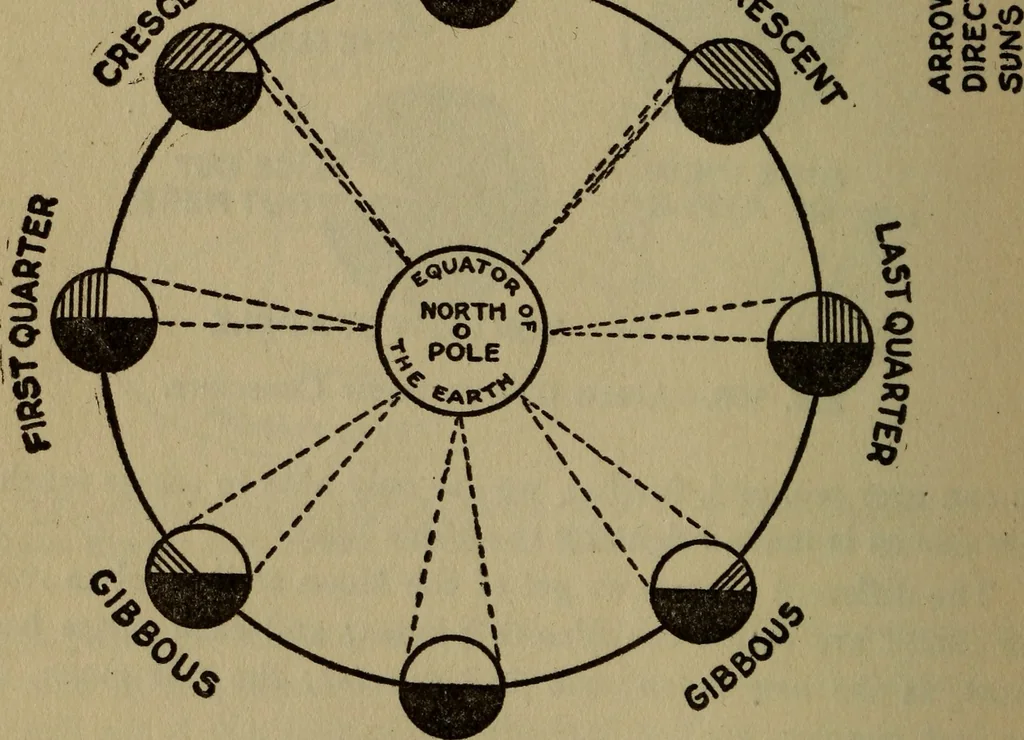 An illustration from The book of stars, 1920, leaf 117