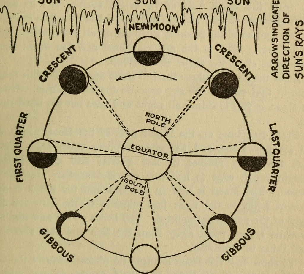 An illustration from The book of stars, 1920, leaf 118
