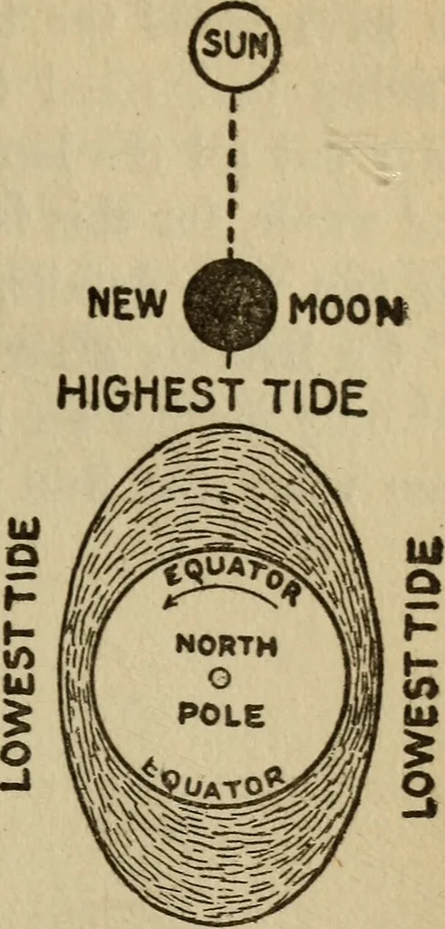 An illustration from The book of stars, 1920, leaf 122
