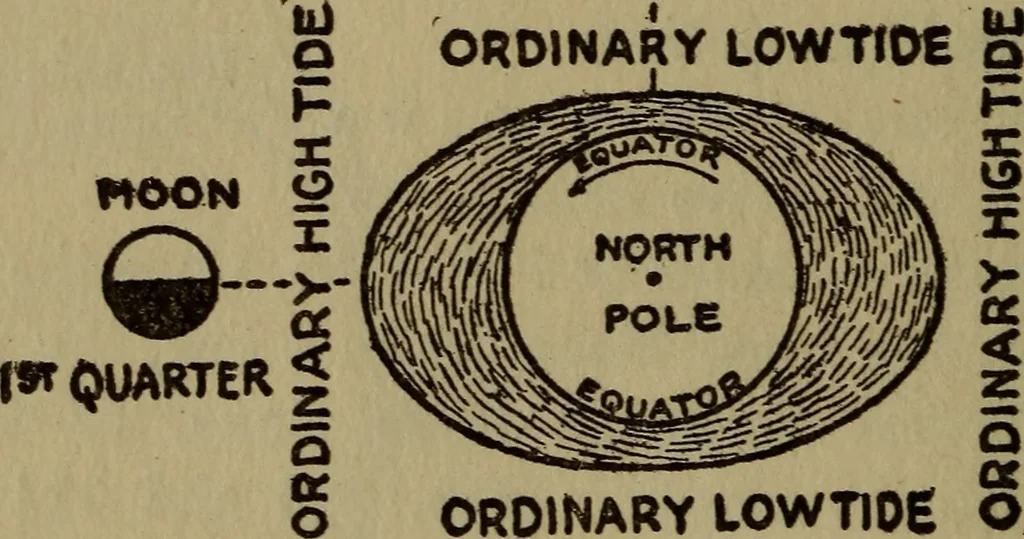 An illustration from The book of stars, 1920, leaf 123