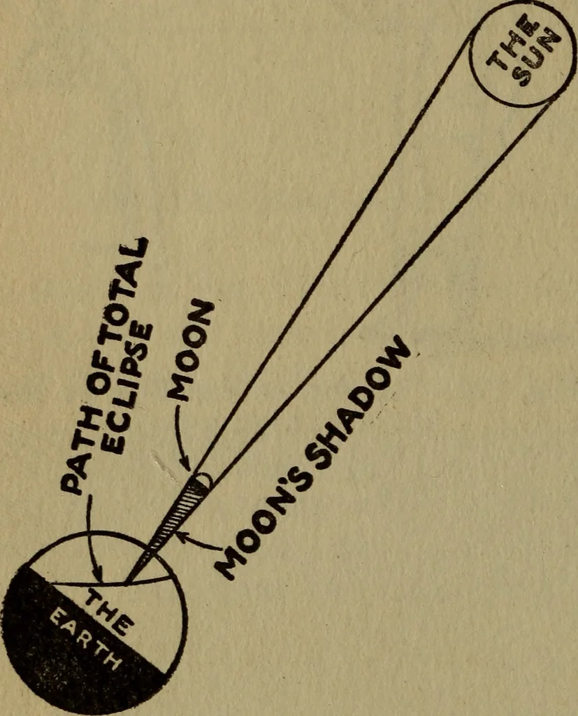 An illustration from The book of stars, 1920, leaf 131
