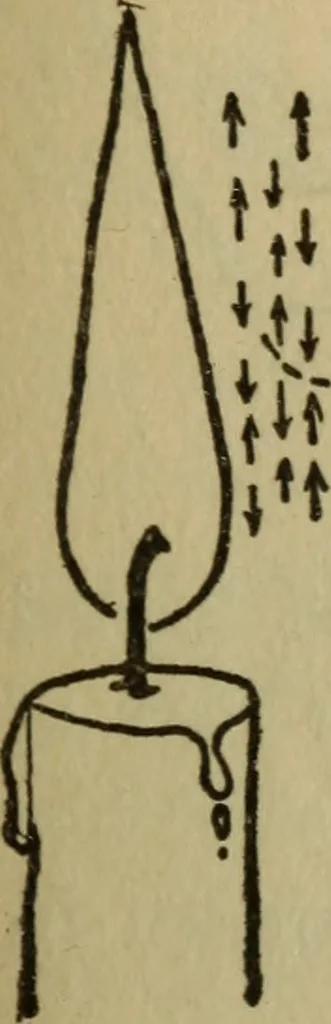 An illustration from The book of stars, 1920, leaf 148