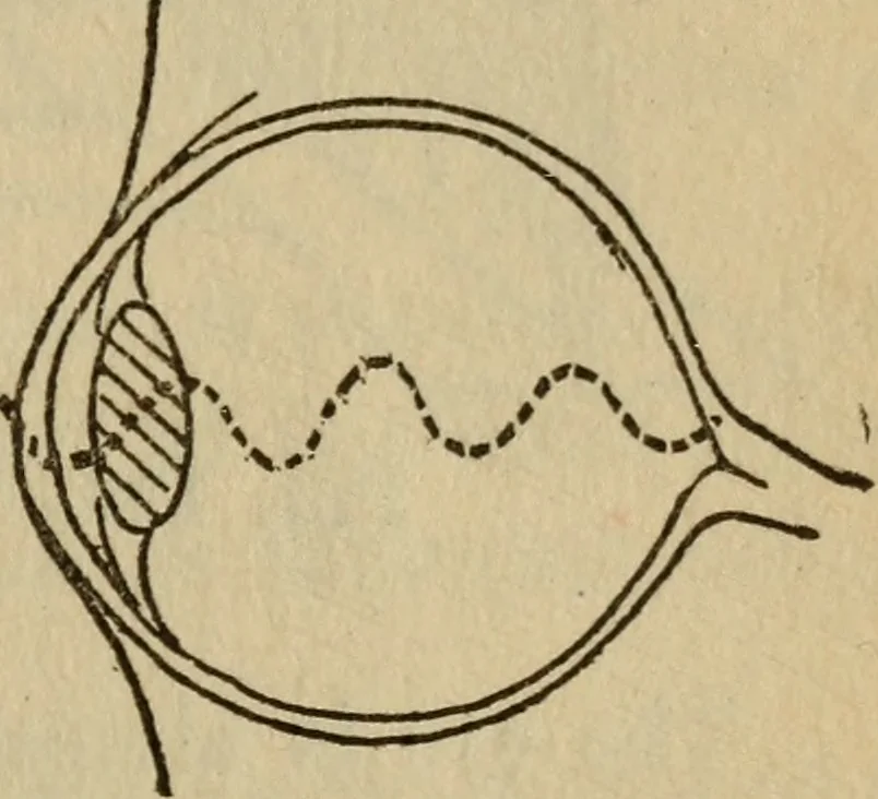 An illustration from The book of stars, 1920, leaf 148