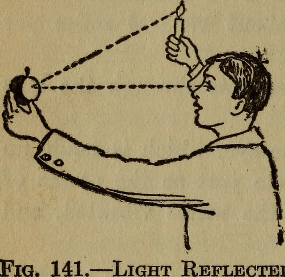 An illustration from The book of stars, 1920, leaf 153