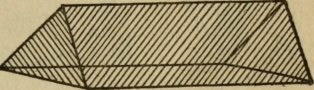 An illustration from The book of stars, 1920, leaf 154