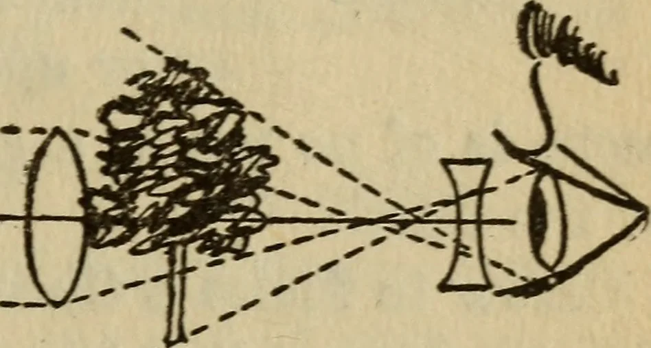 An illustration from The book of stars, 1920, leaf 160