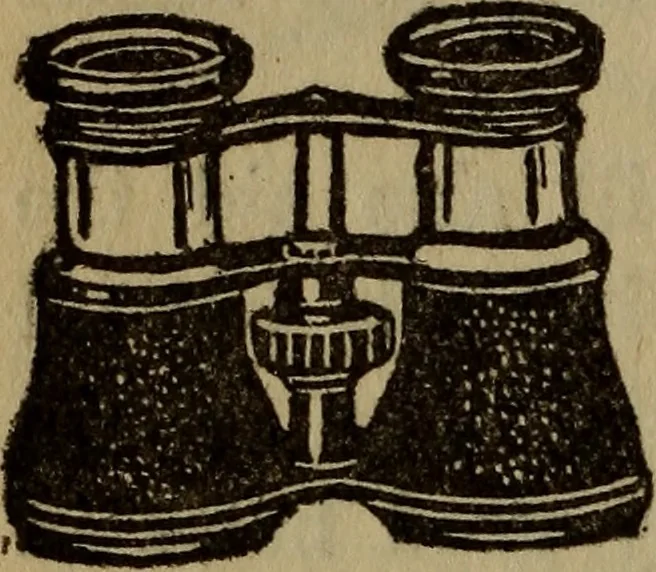 An illustration from The book of stars, 1920, leaf 161