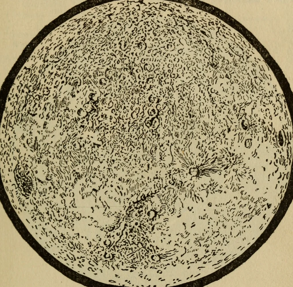 An illustration from The book of stars, 1920, leaf 166