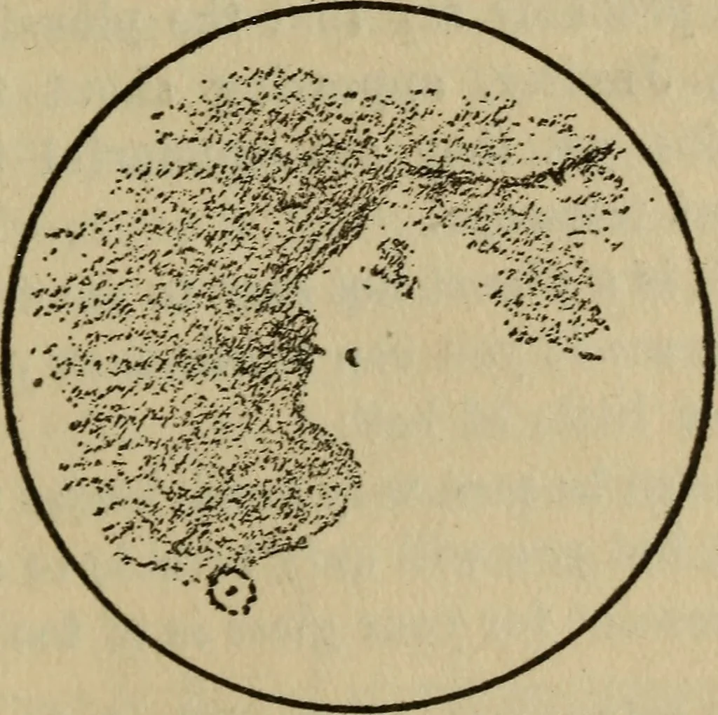 An illustration from The book of stars, 1920, leaf 168