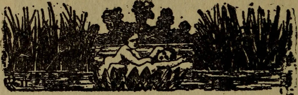 An illustration from The book of stars, 1920, leaf 197