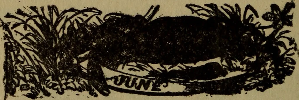 An illustration from The book of stars, 1920, leaf 197