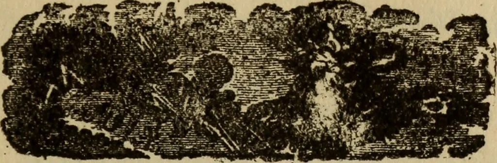 An illustration from The book of stars, 1920, leaf 198