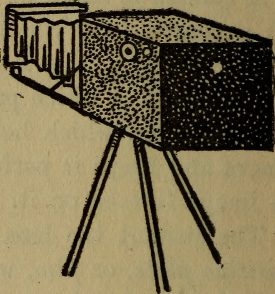 An illustration from The book of stars, 1920, leaf 207