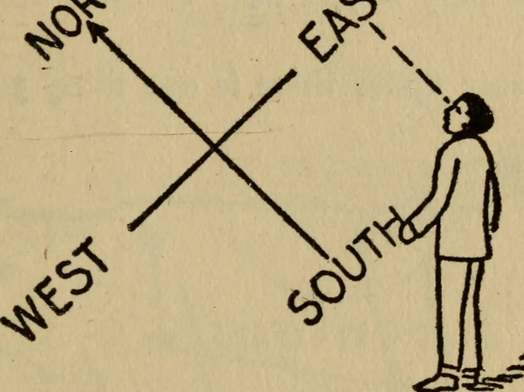 An illustration from The book of stars, 1920, leaf 26