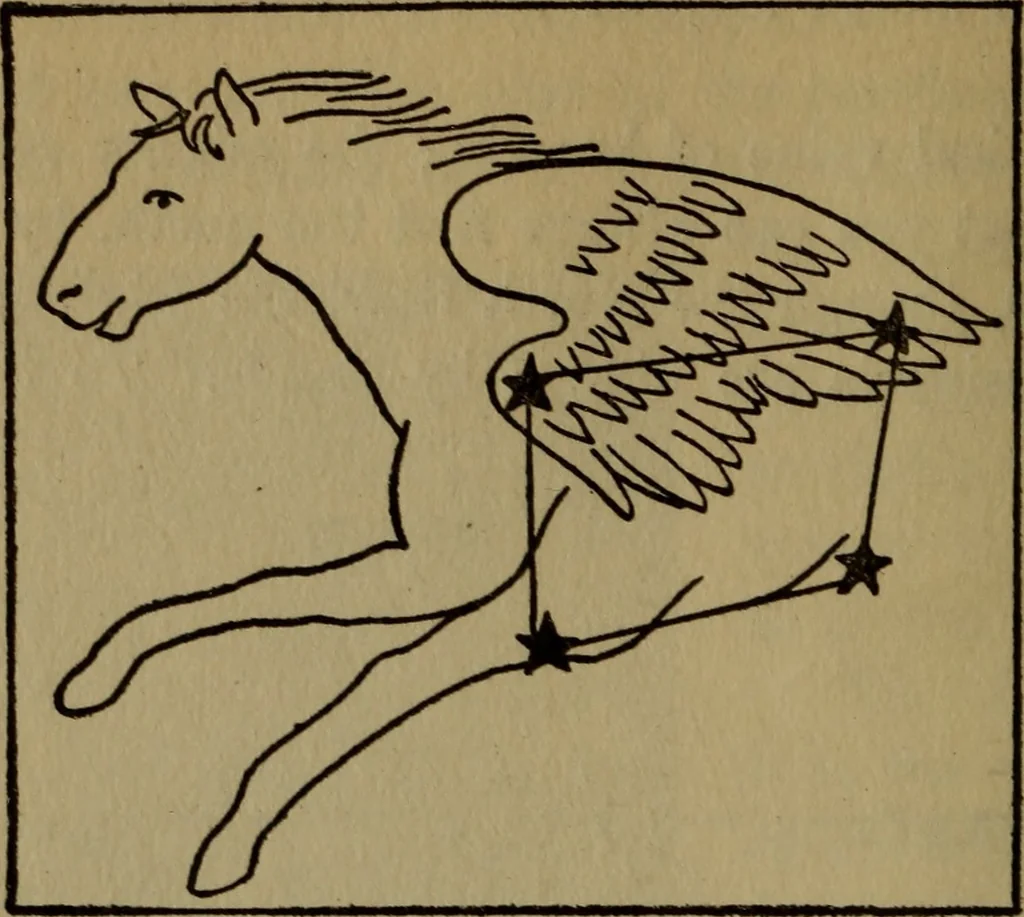 An illustration from The book of stars, 1920, leaf 41